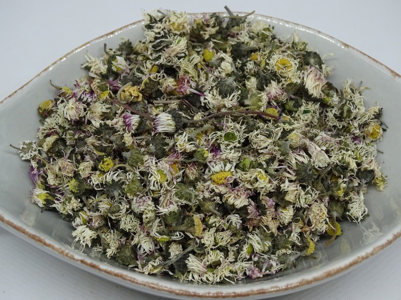 Gänseblümchen Blüten bio